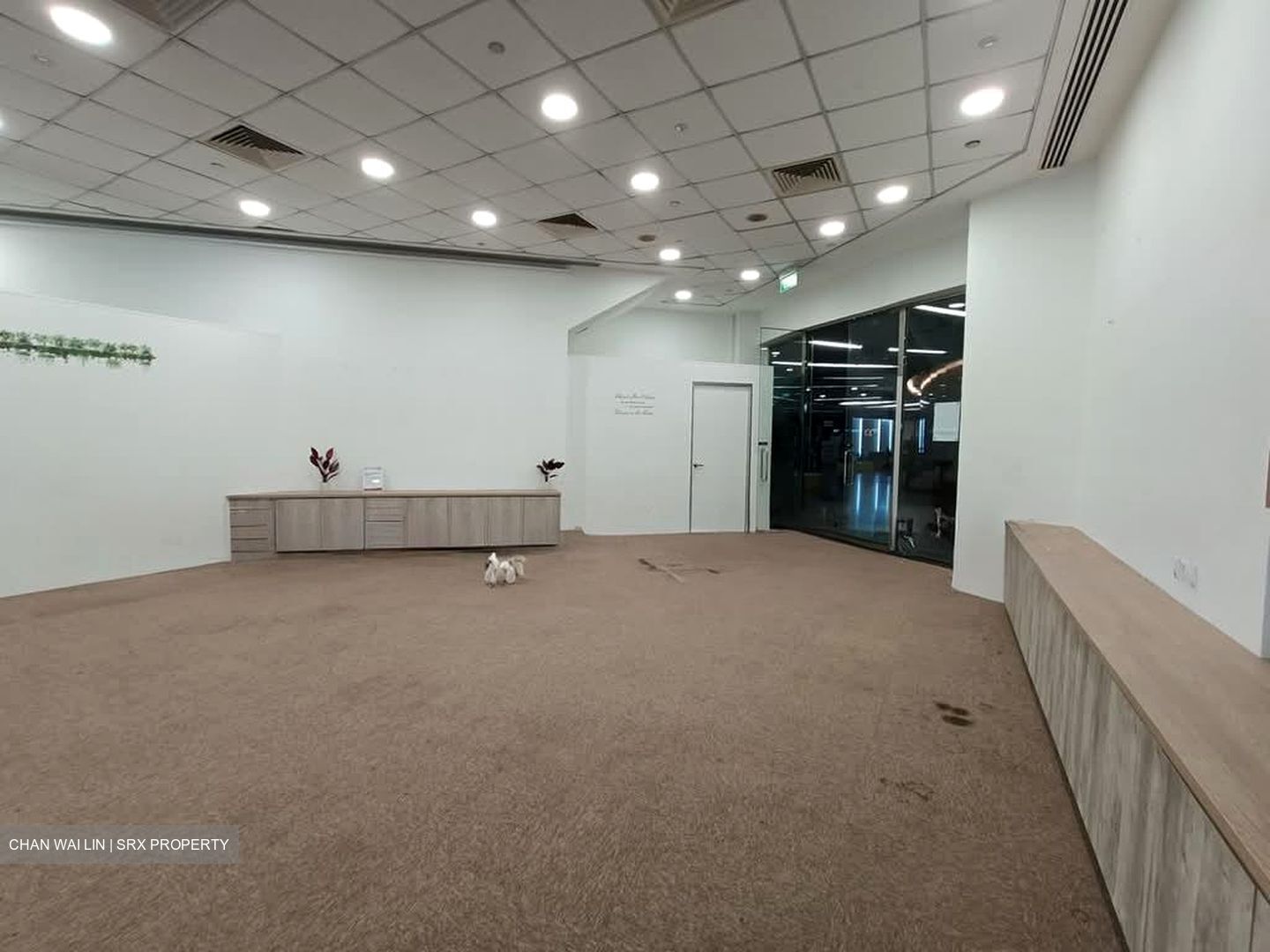 51 Cuppage Road (D9), Retail #589175251